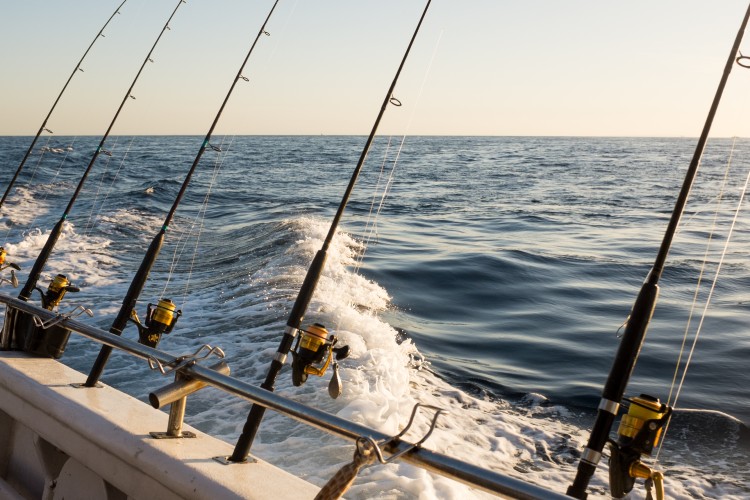 Topsail Island Charter Fishing