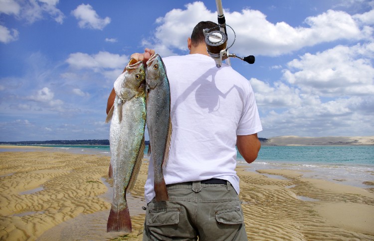 Surf Fishing on Topsail Island