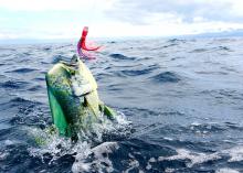 Topsail Island Fishing 